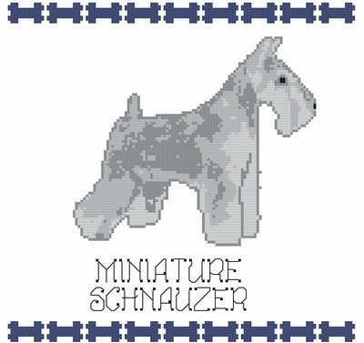 Miniature Schauzer