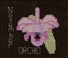 November Orchid