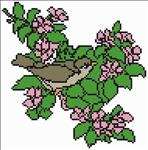 Flowers N Bird