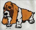 Bassett Hound