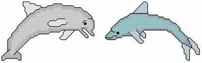Dolphins 2