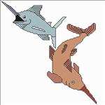 Sword Fish