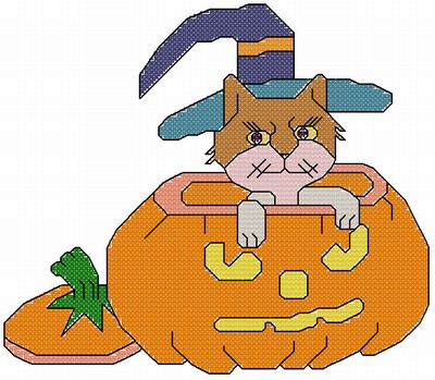 Cat in Pumpkin