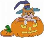 Cat in Pumpkin