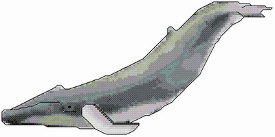 Whale