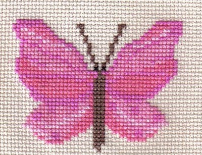 Pink Butterfly