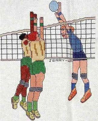 Volley Ball