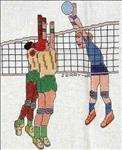Volley Ball