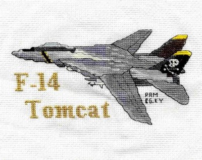 F-14 Tomcat