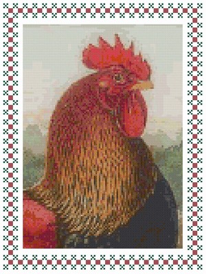 Portrait of a Rooster