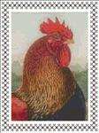 Portrait of a Rooster
