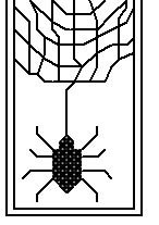 Spider With Web