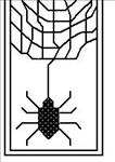 Spider With Web
