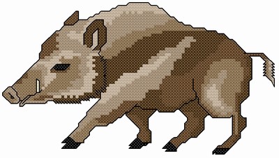 Wild Boar