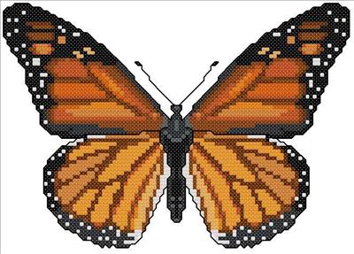 Monarch Butterfly