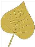 Fall Leaf 9