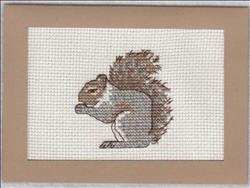 Autumn Squirrel Card