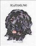 Newfoundland