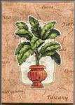 Potted Palm   