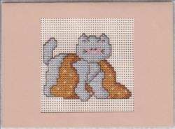 Kitten With Blanket
