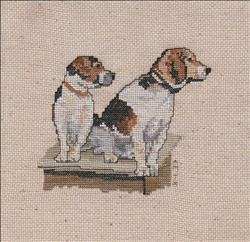 Beagles