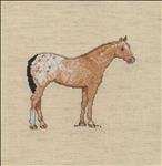 Appaloosa