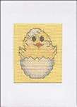 Baby Chick