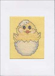 Baby Chick