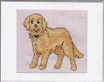 Perfect Pets - Tilly the Dog