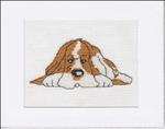 Perfect Pets – Boris the Basset