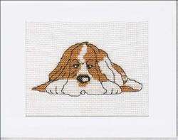 Perfect Pets – Boris the Basset
