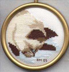 Siamese Kitten 1