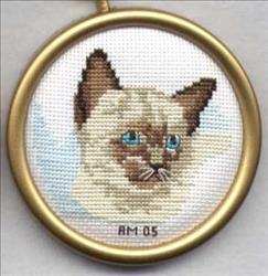 Siamese Kitten 2