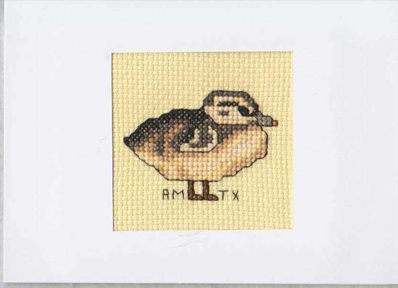 Cross Stitch Sample