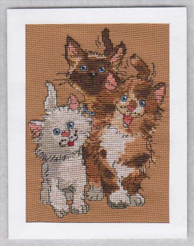 Cross Stitch Sample