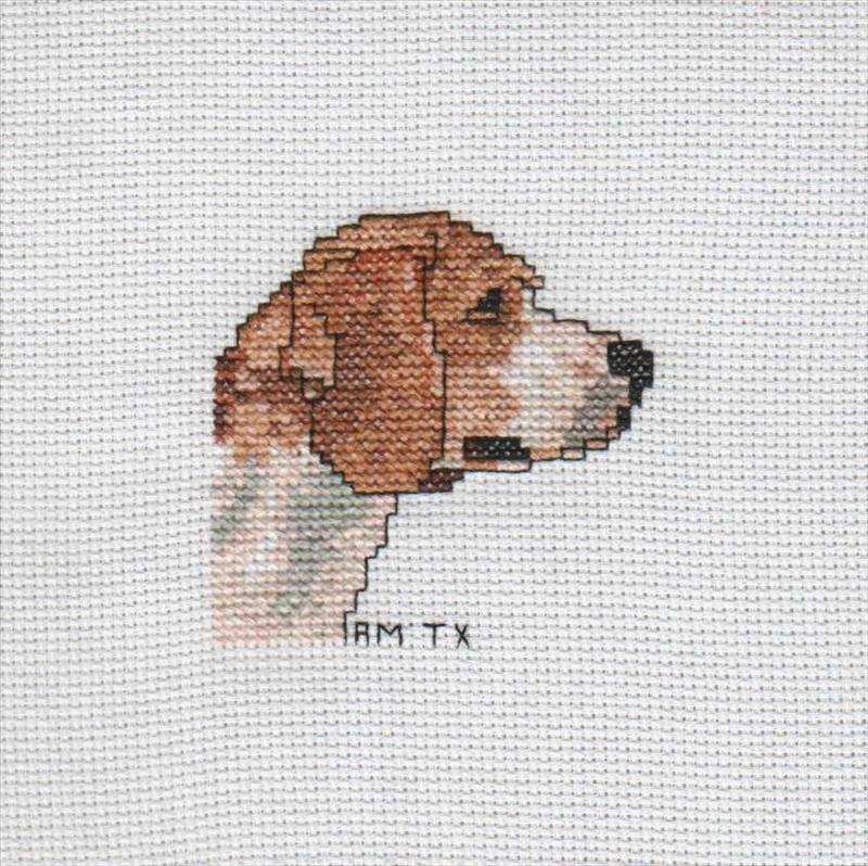 Cross Stitch Sample