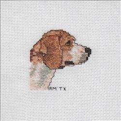 Dog Squares – Beagle