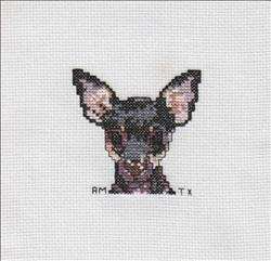 Dog Squares – Chihuaua