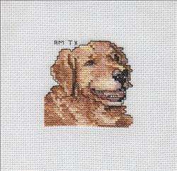 Dog Squares - Golden Retriever