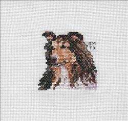 Dog Squares - Shetland Sheepdog