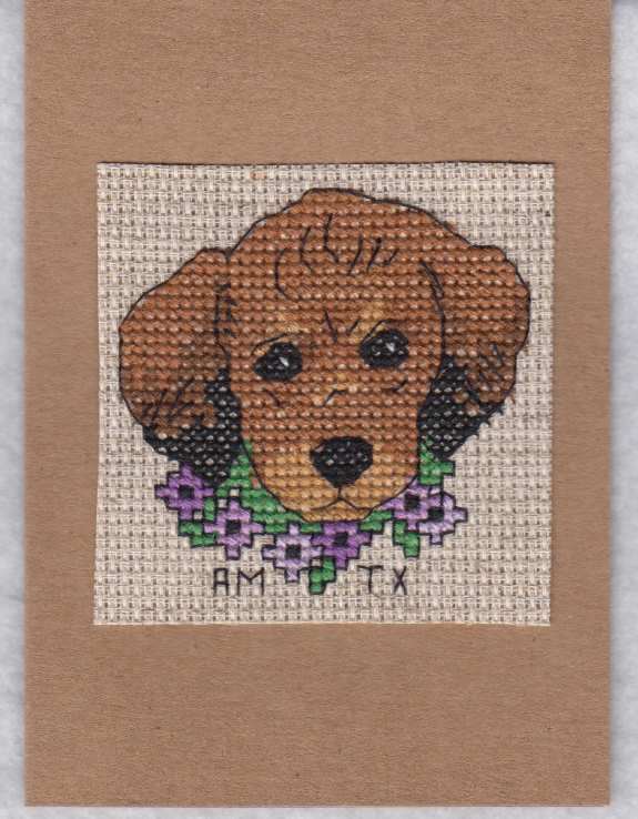 Cross Stitch Sample