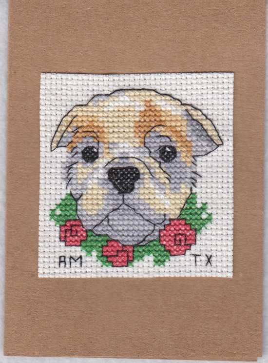 Cross Stitch Sample