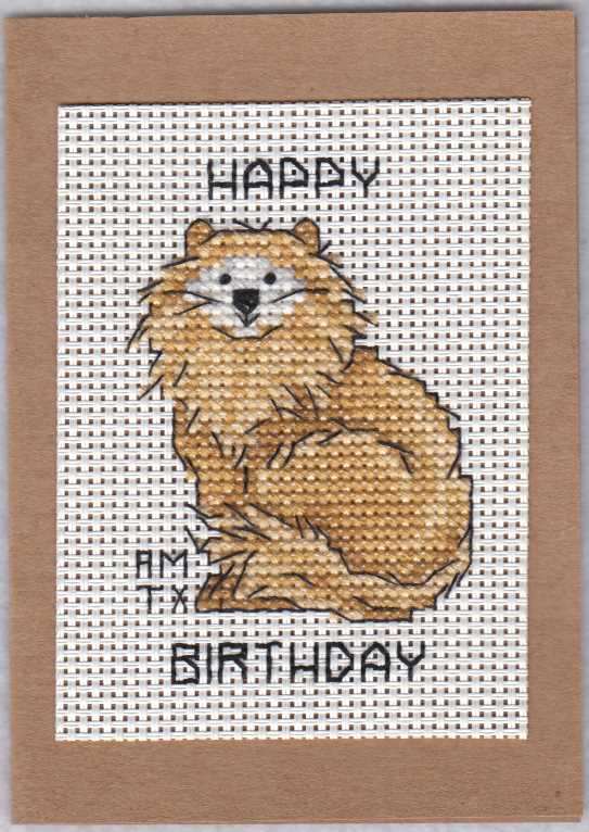 Cross Stitch Sample