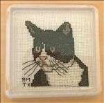 Black and White Cat Coaster