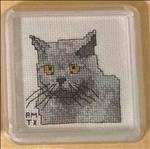 Blue Short Hair Cat Coaster