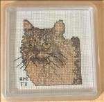 Maine Coon Cat Coaster