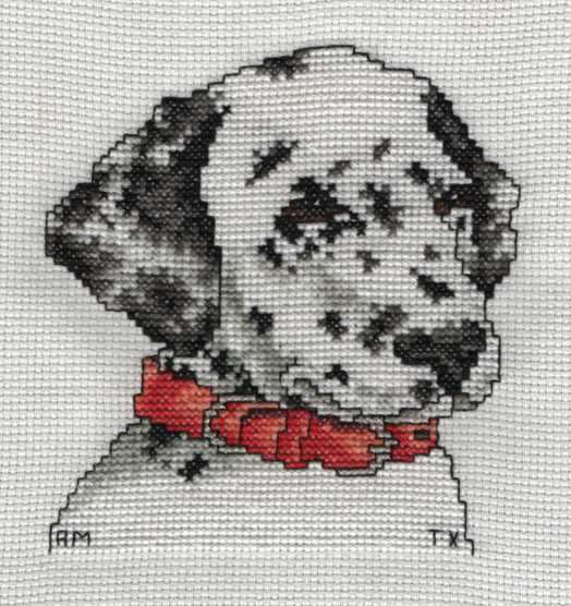 Cross Stitch Sample