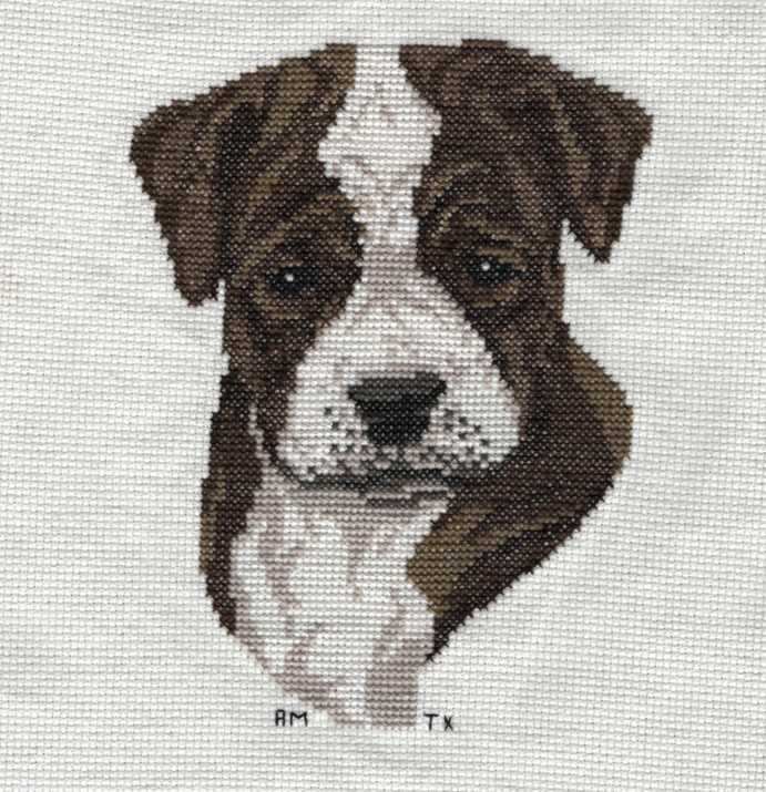 Cross Stitch Sample