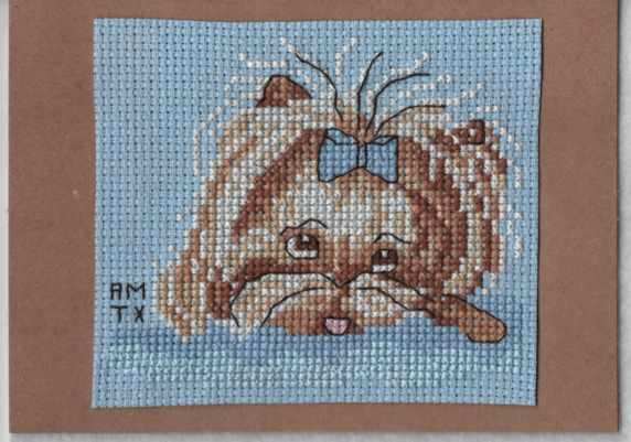 Cross Stitch Sample