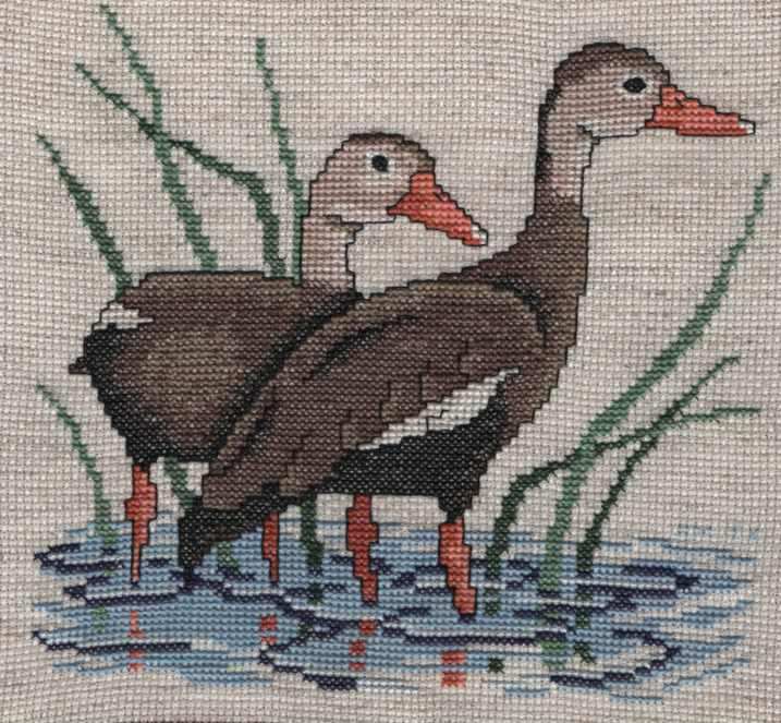 Cross Stitch Sample